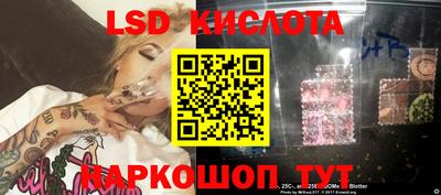 амф Сланцы