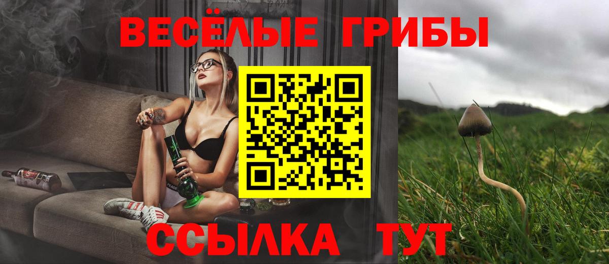 Нальчик  Галлюциногенные грибы мухоморы  Галлюциногенные грибы Psilocybine cubensis  Вход с VPN 