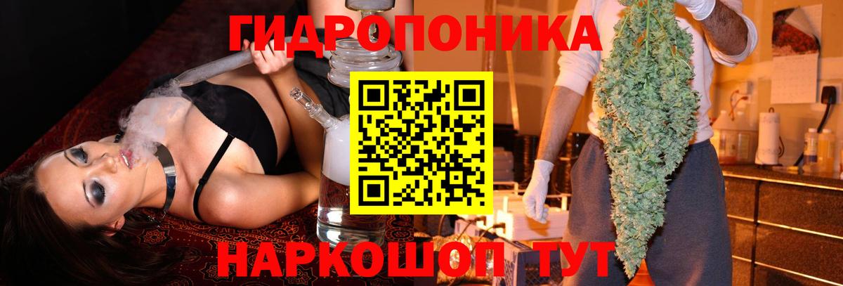 Марихуана Amnesia Нальчик